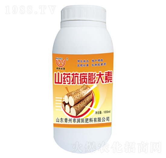 ɽˎ���������-�������