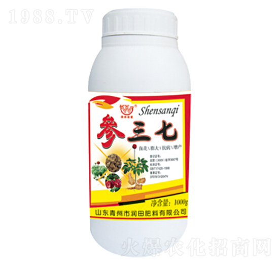 �����ߌ��÷�-�������