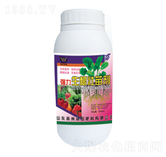 ƿ�b��(qi��ng)���������焩-��(r��n)�����