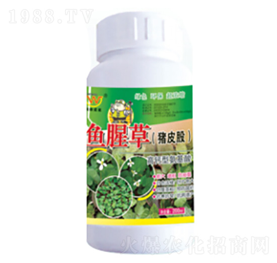 �~�Ȳݣ��iƤ�ɣ����ð������~���-��(r��n)�����