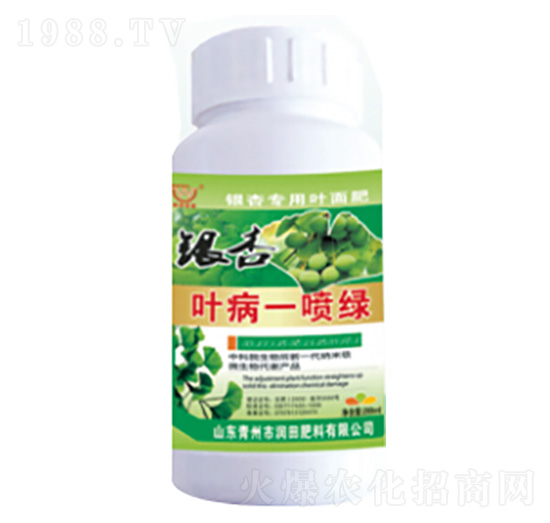 �y���~��һ���G-�������