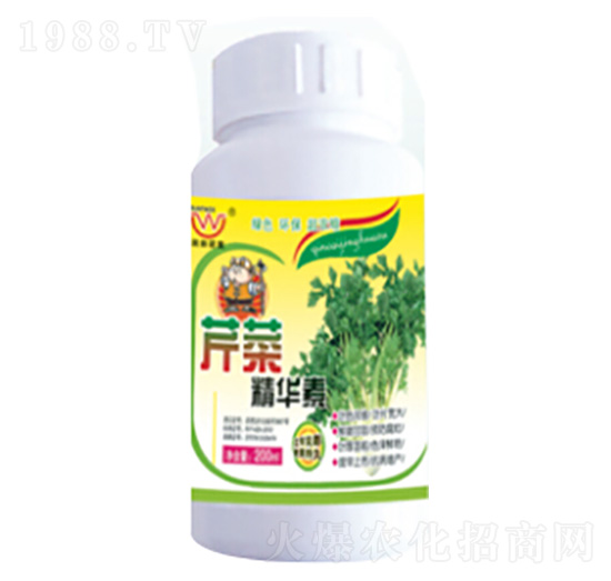 �۲˾��A��-�������