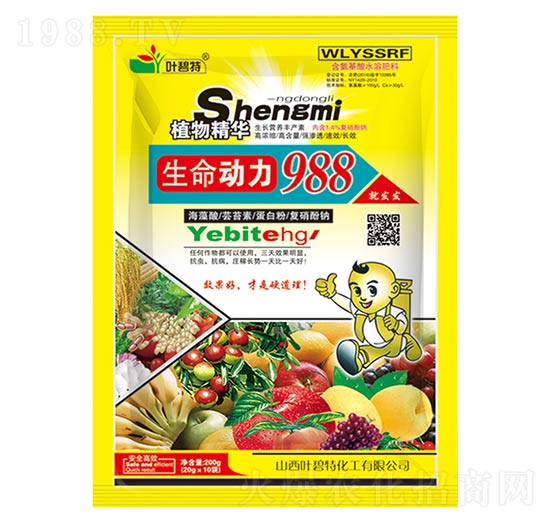 ������(d��ng)��988-�~����