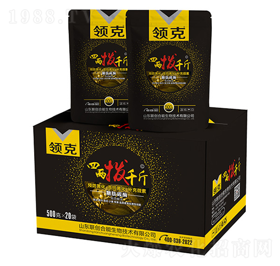 �ăɓ�ǧ��-�I(l��ng)��-(li��n)��(chu��ng)����