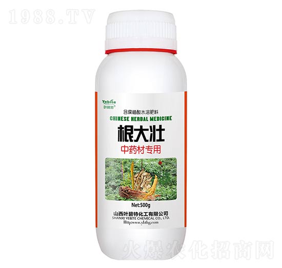 中藥材專用-根大壯-葉碧特