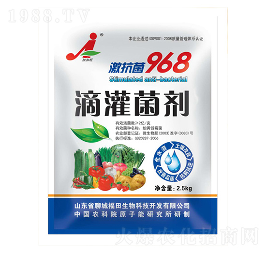 �ι����-��������