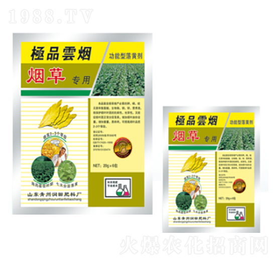 ���݌����~���-�Ɵ�-��(r��n)�����