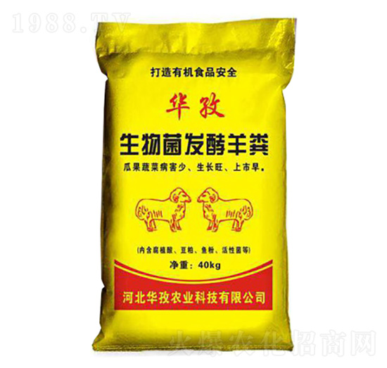 ������l(f��)����S-�A���r�I(y��)