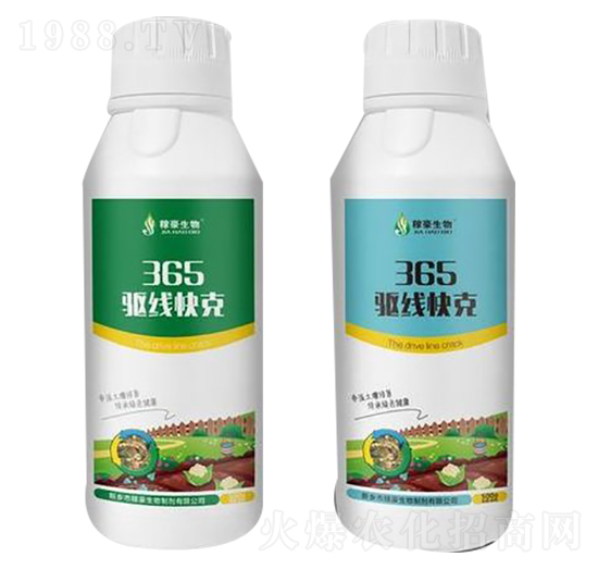 365򌾀���-�ں�����