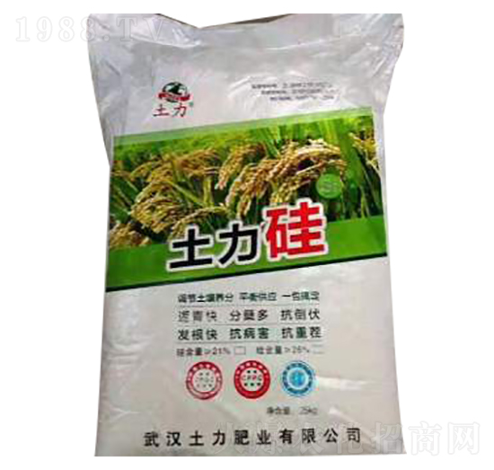 1000g������-�����ʘI(y��)