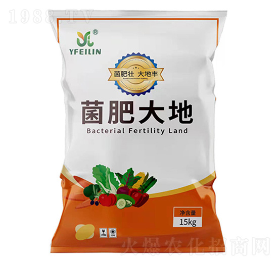 ���ʴ��-Ӣ����