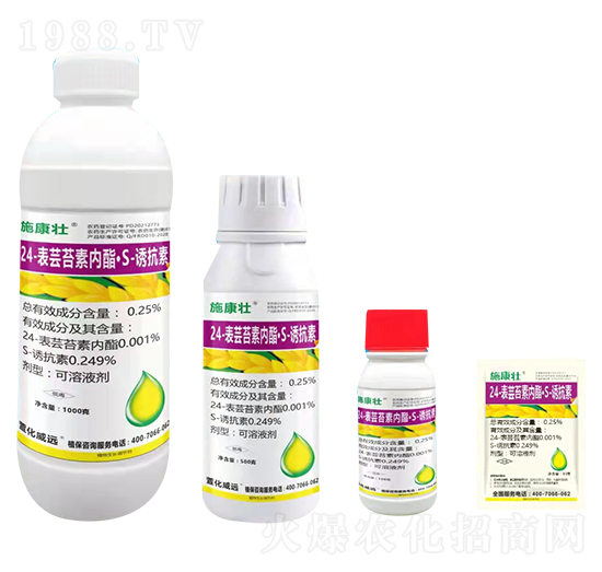 24-���|̦�؃�(n��i)����S-�T����-ʩ����-�滯���h