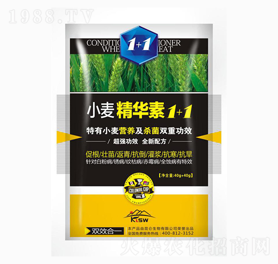 С�����A��1+1-�����_(d��)