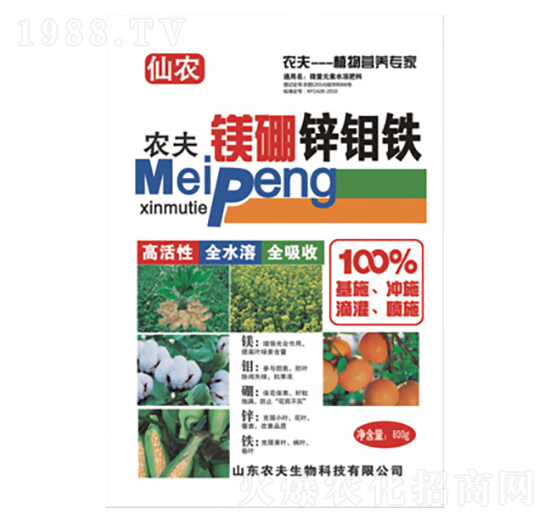 �V���\�f�F-�r��