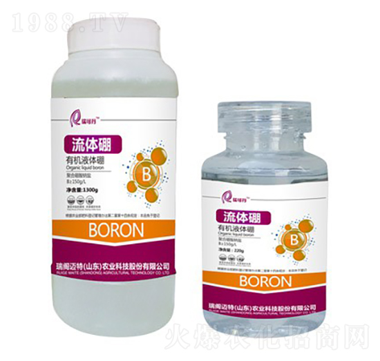 �ЙCҺ�w��-�Ǵ���-��ɵ�-���w�~��