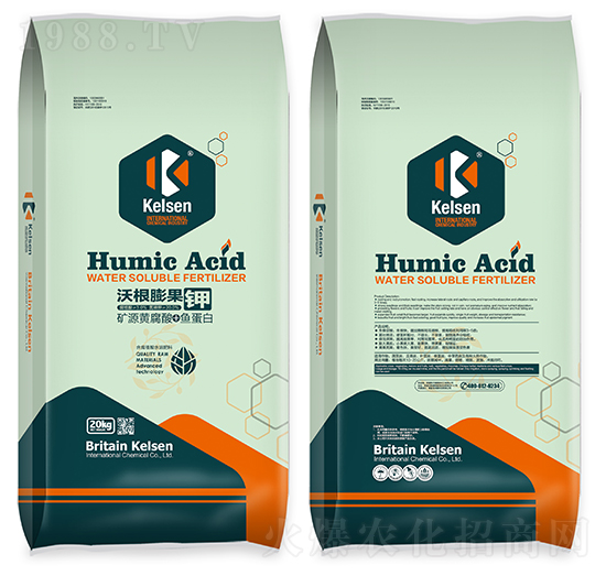 �ָ�����