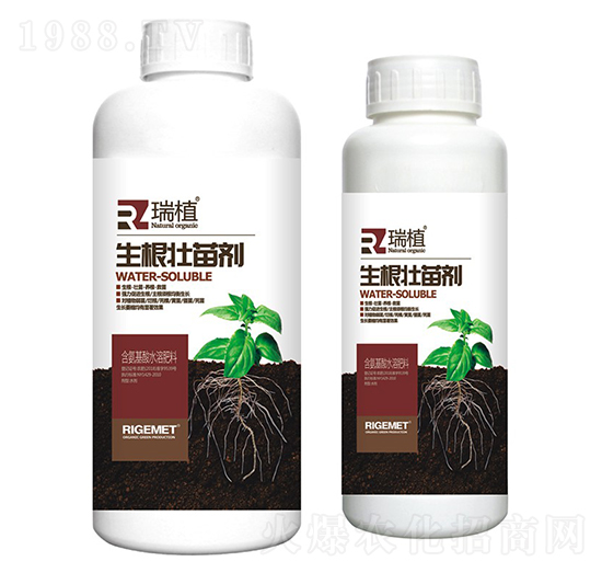 �������焩-��ֲ-���w�~��