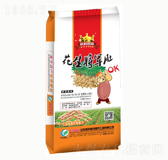 �������15-15-10-������܊��-�ο�