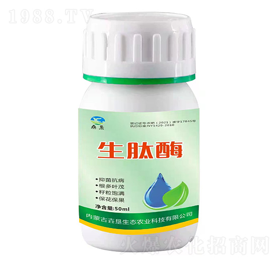 ����ø-�������B(t��i)