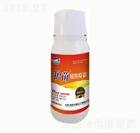 �o(h��)��ֲ������-��혻���