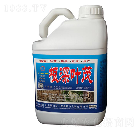 �����~ï-��ɽ̩�S