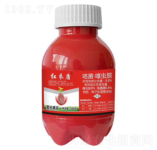 ���������x��-�t�¶�-�滯���h