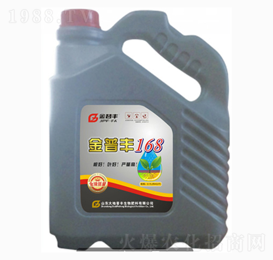 �����S168-�����S