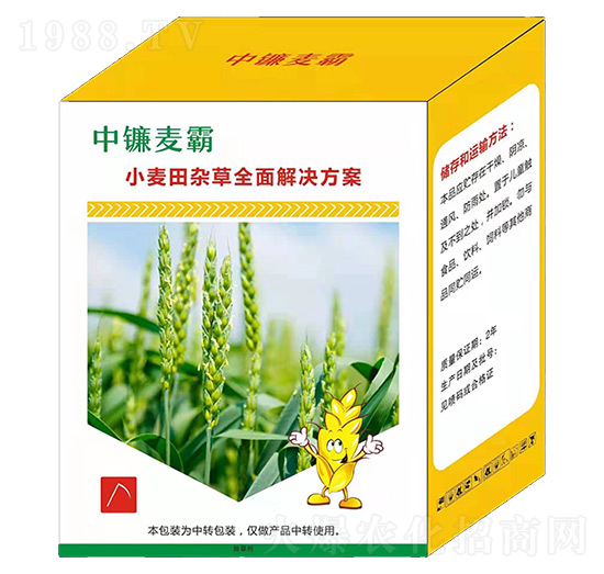 С�����s��ȫ���Q����-�������-��֮�