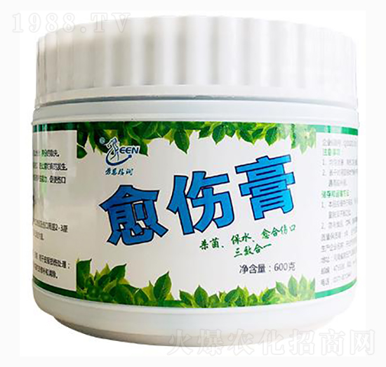 ������-�ڶ���