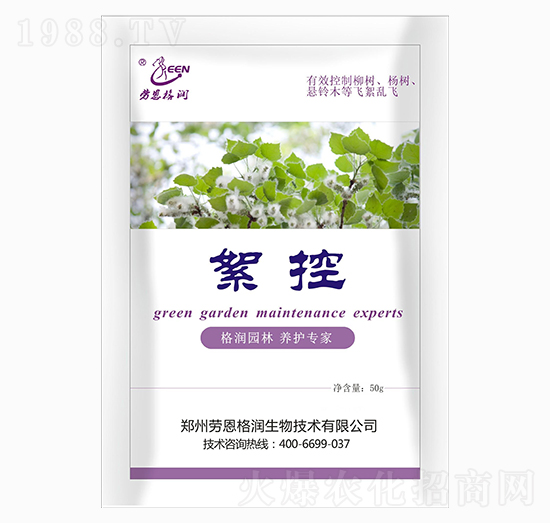 ����-�ڶ���