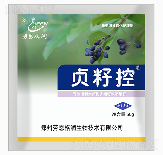 ؑ�ѿ�-�ڶ���