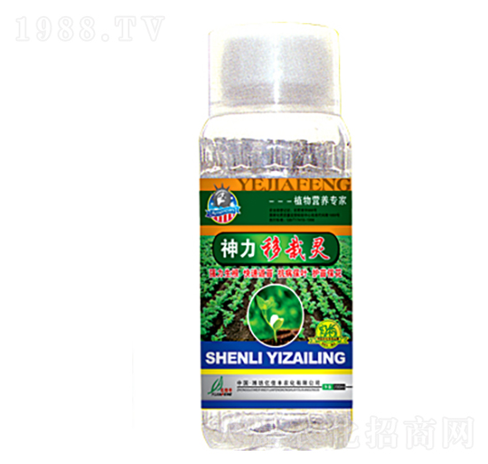 ���������`-�|���S