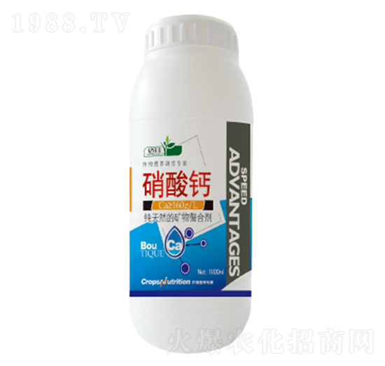 �����}-�|���S