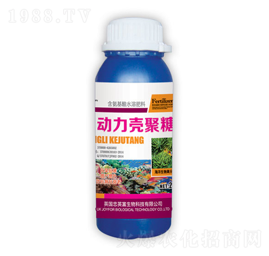 ����������-�|���S