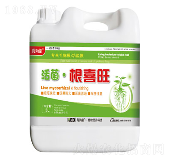 �������ϲ��-�ú���-������