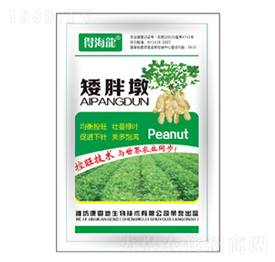 ���ֶ�-�ú���-������