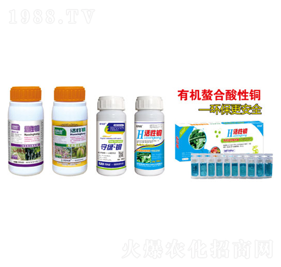 �����~-�ú���-������