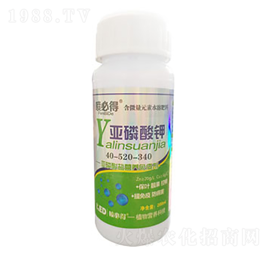 �������-���ص�-������