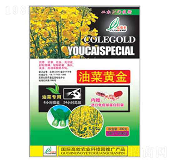 �Ͳ��S��-�|���S