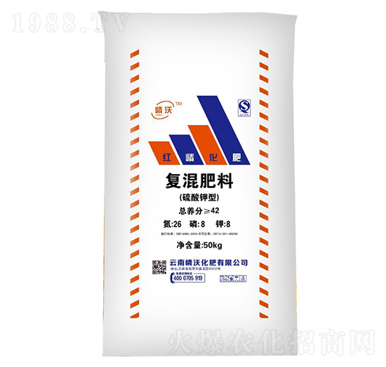 ������͏�(f��)�����26-8-8-����