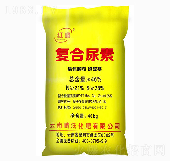 �ͺ�����-����