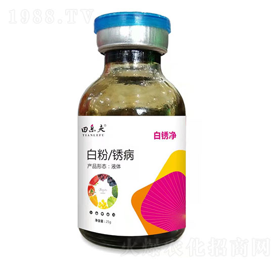 �׷ۡ��P��-���P��-���-��ʢ����