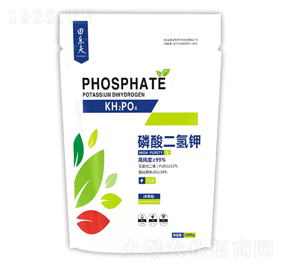 ��������-��ʢ����