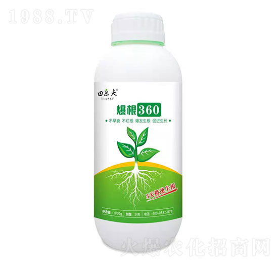 ����360-���-��ʢ����