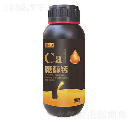 �Ǵ��}-��ʢ����