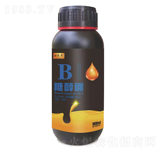 �Ǵ���-��ʢ����