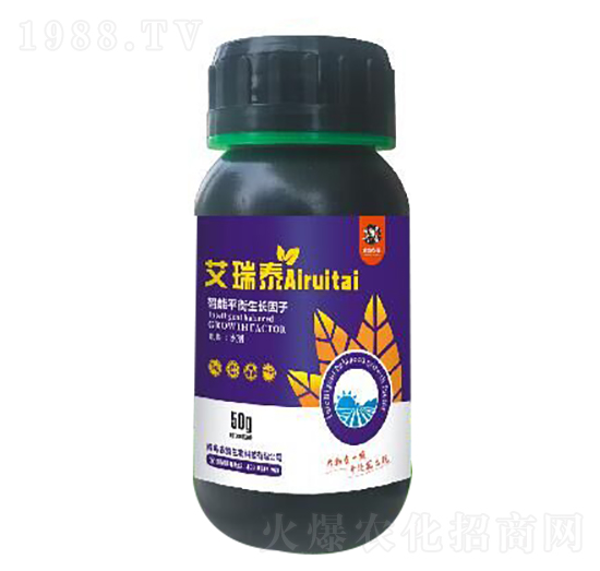 ����ƽ�����L����-����̩-�rϲ����