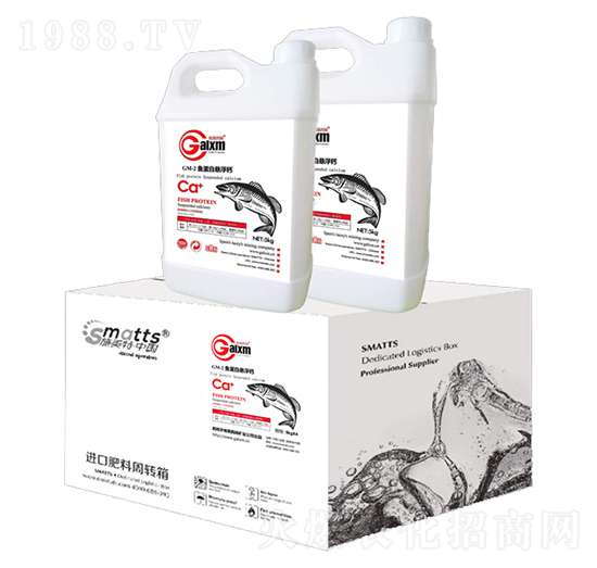 �~���בҸ��}-���R��ķ