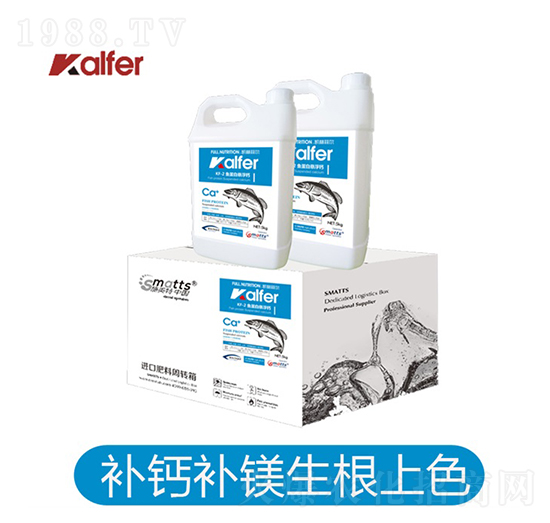 KF-2�~���בҸ��}���䣩-�P�ַƠ�