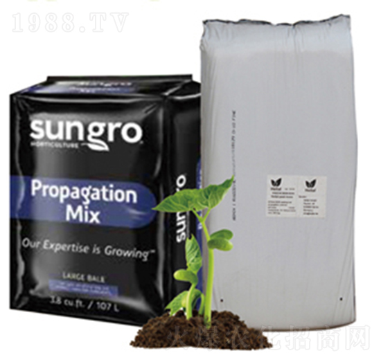 ���|(zh��)��̼-ꖹ��ǻ�